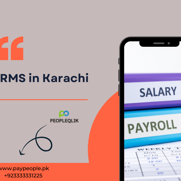 Exploring the Elements of HR Data Security with PeopleQlik HRMS in Karachi Pakistan